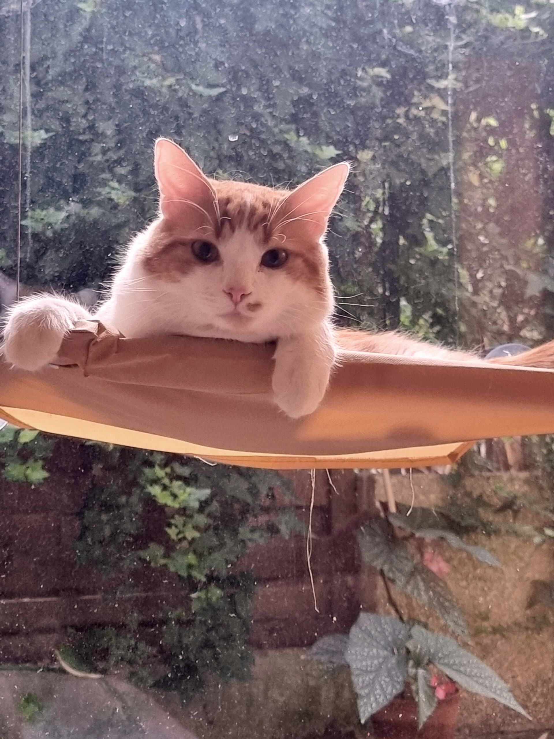 20250821_200923_copieRTC