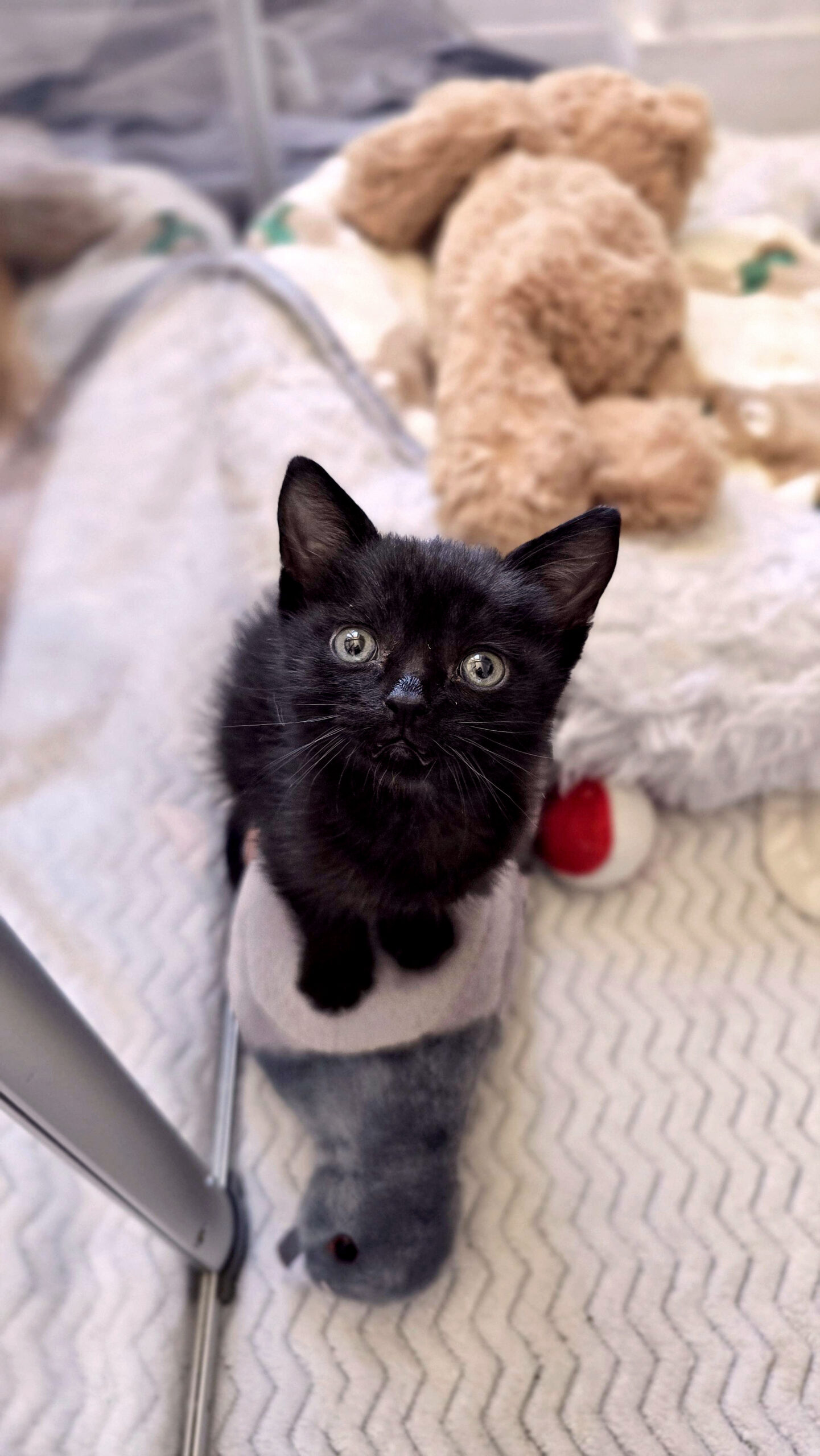 20250918_123917_copieRTC