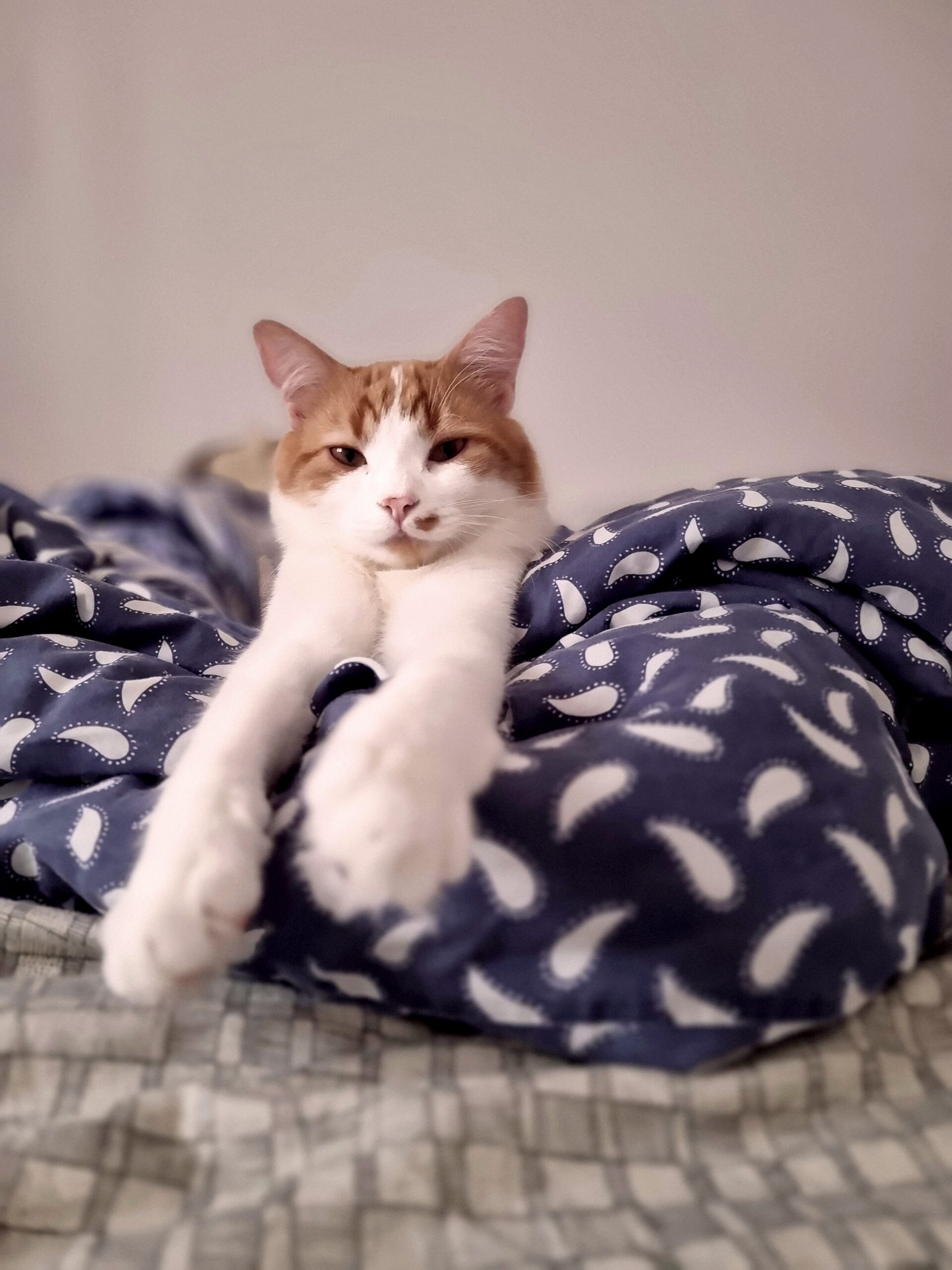 20251010_115417_copieRTC