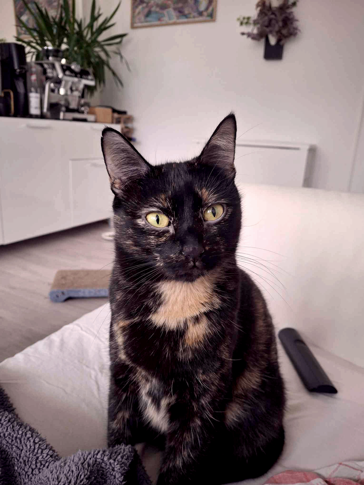 20251013_174607_copieRTC