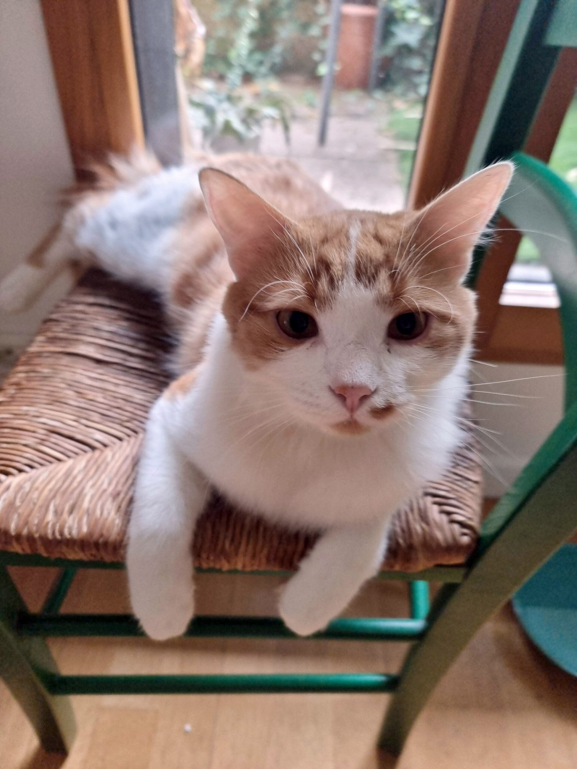 20251019_124030_copieRTC