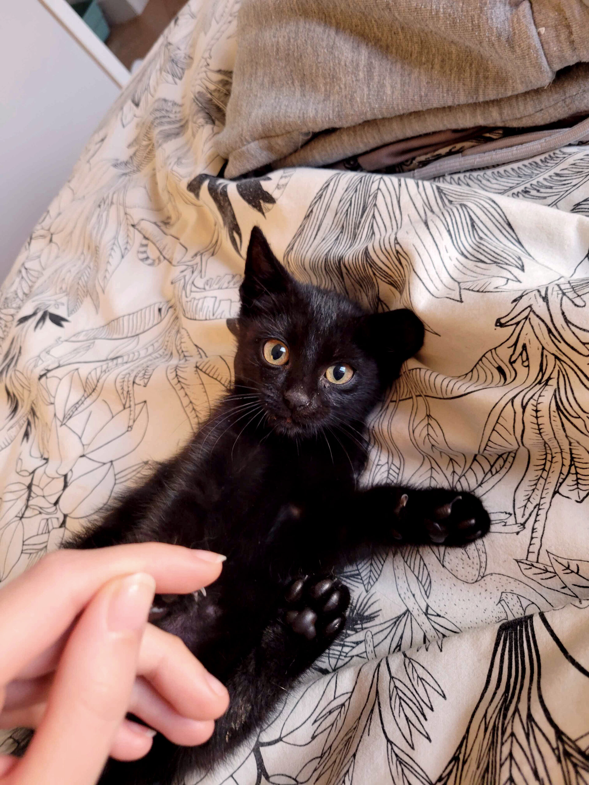 20251002_081910_copieRTC