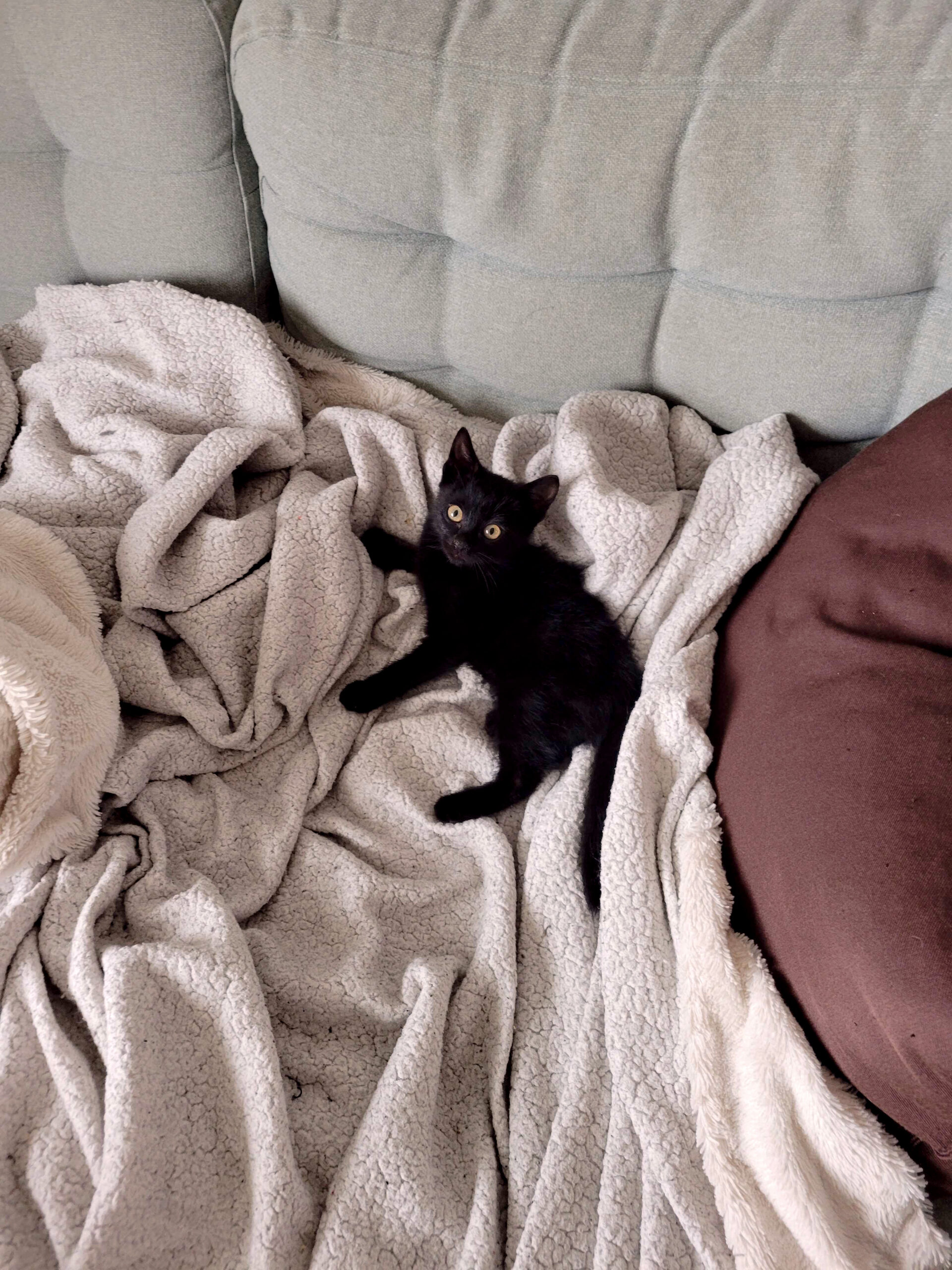 20251003_103049_copieRTC