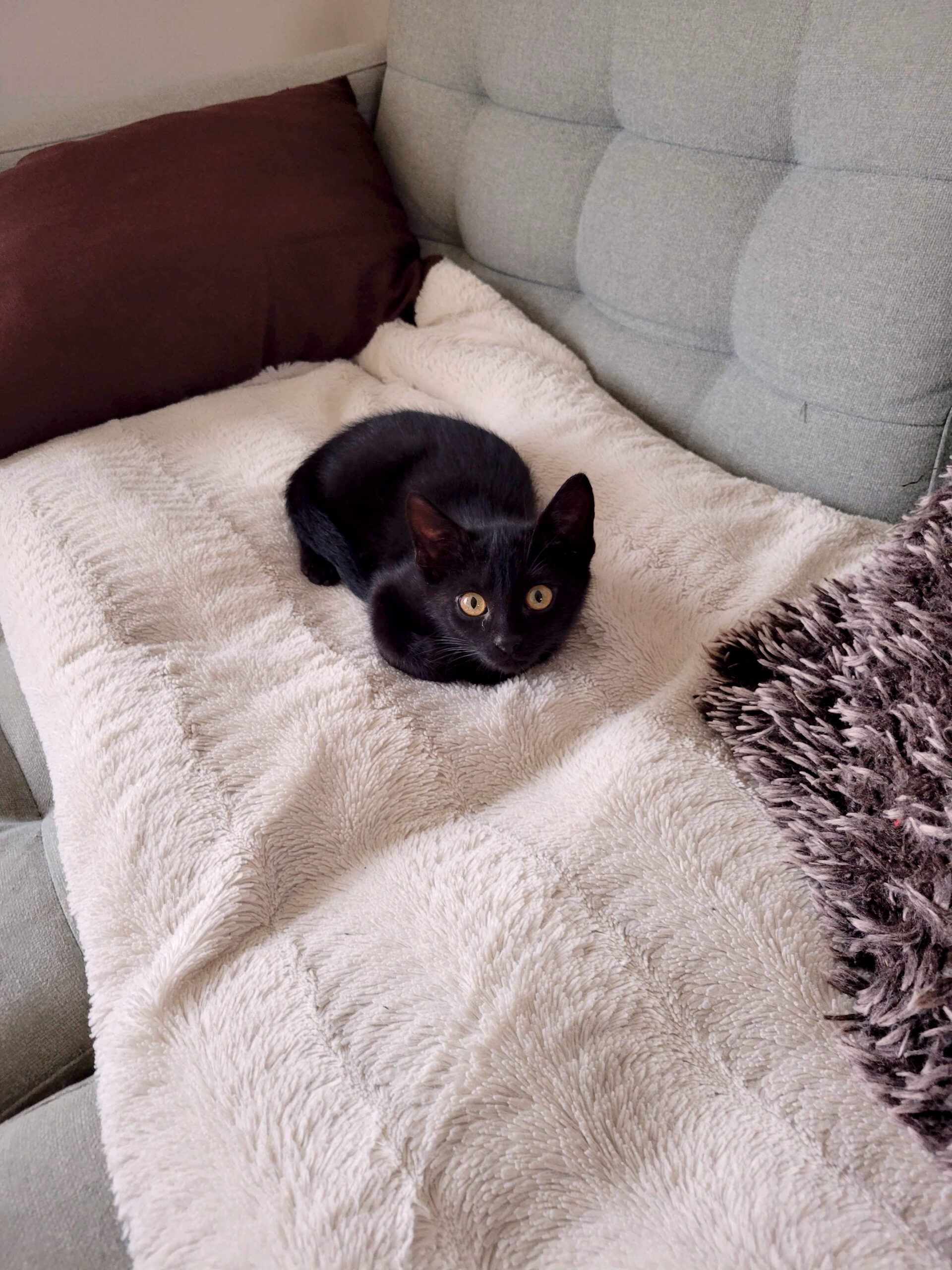 20251018_174511_copieRTC