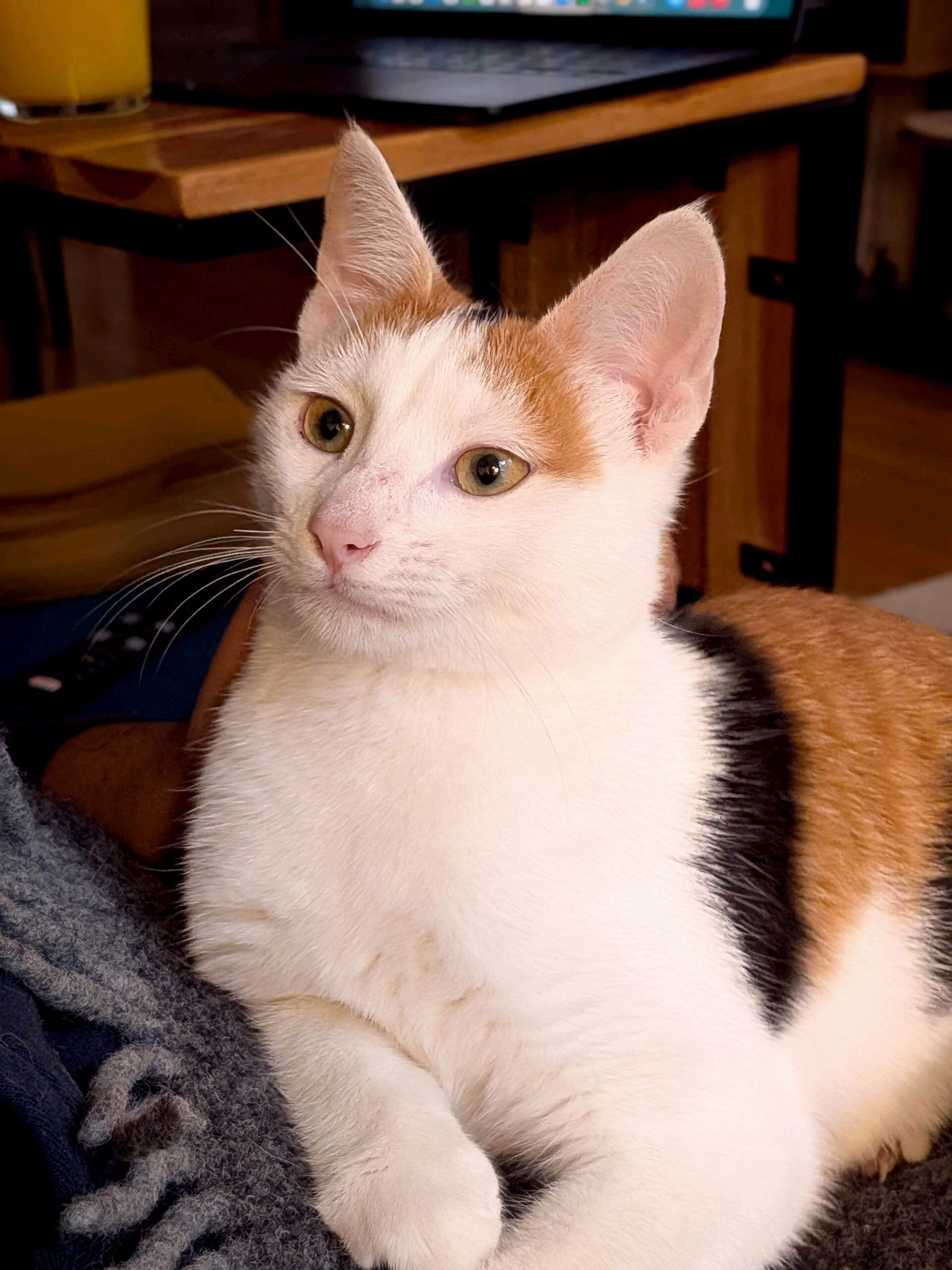 PXL_20251031_130513182.PORTRAIT_copieRTC