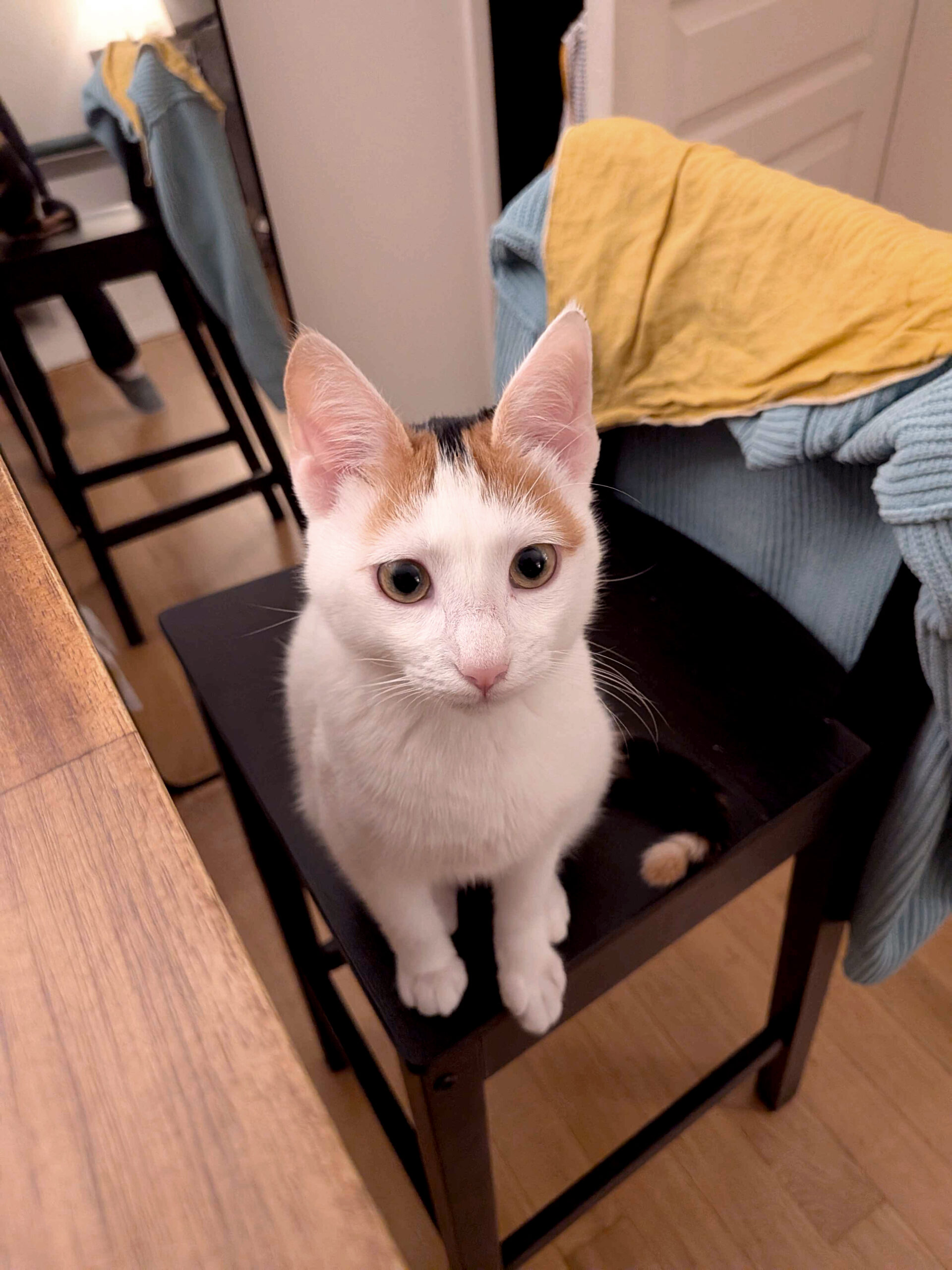 PXL_20251101_165057949_copieRTC