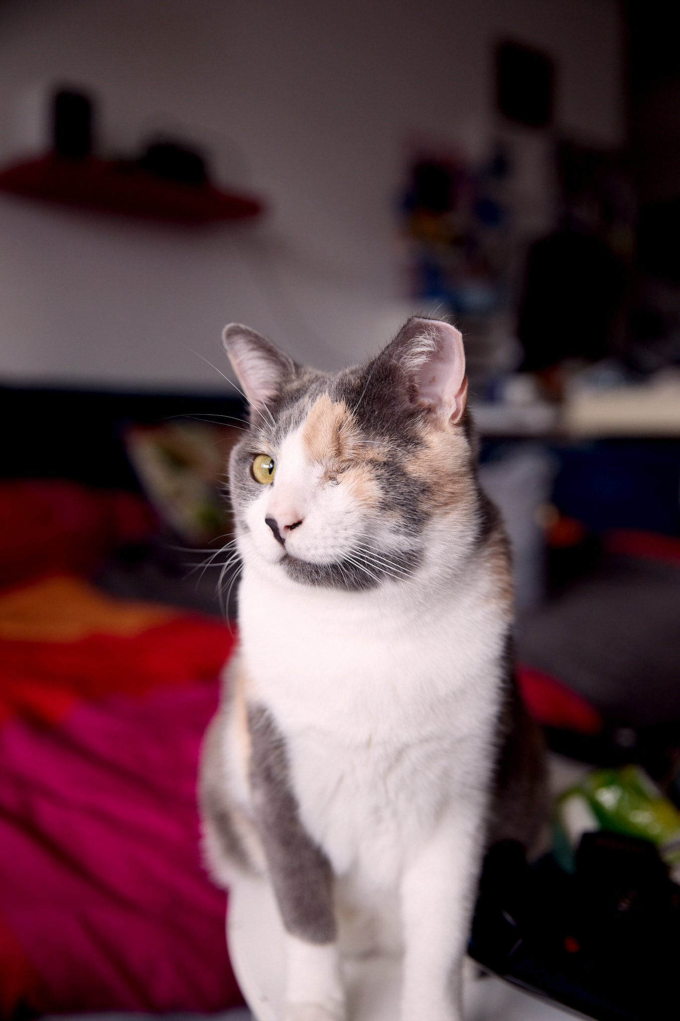 2025-ZIVA__5_copieRTC