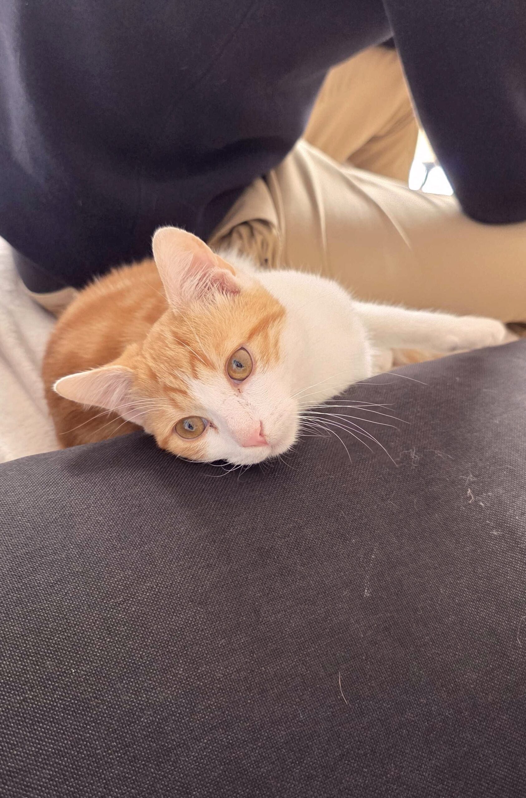 20251008_144950_copieRTC