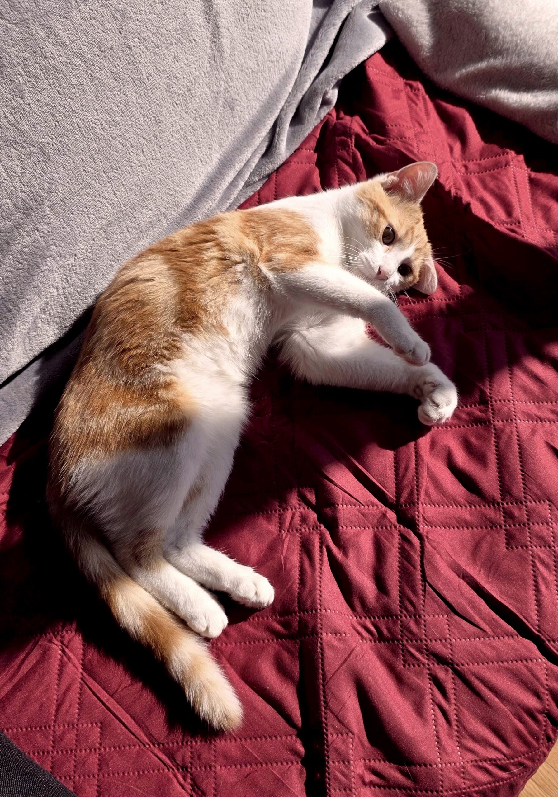 20251011_123456_copieRTC