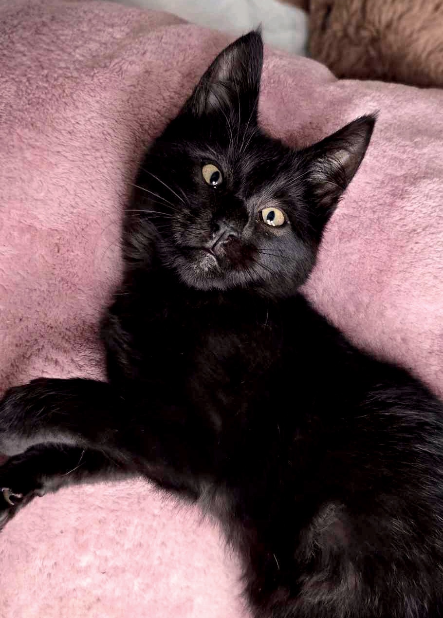 20251111_100430_copieRTC