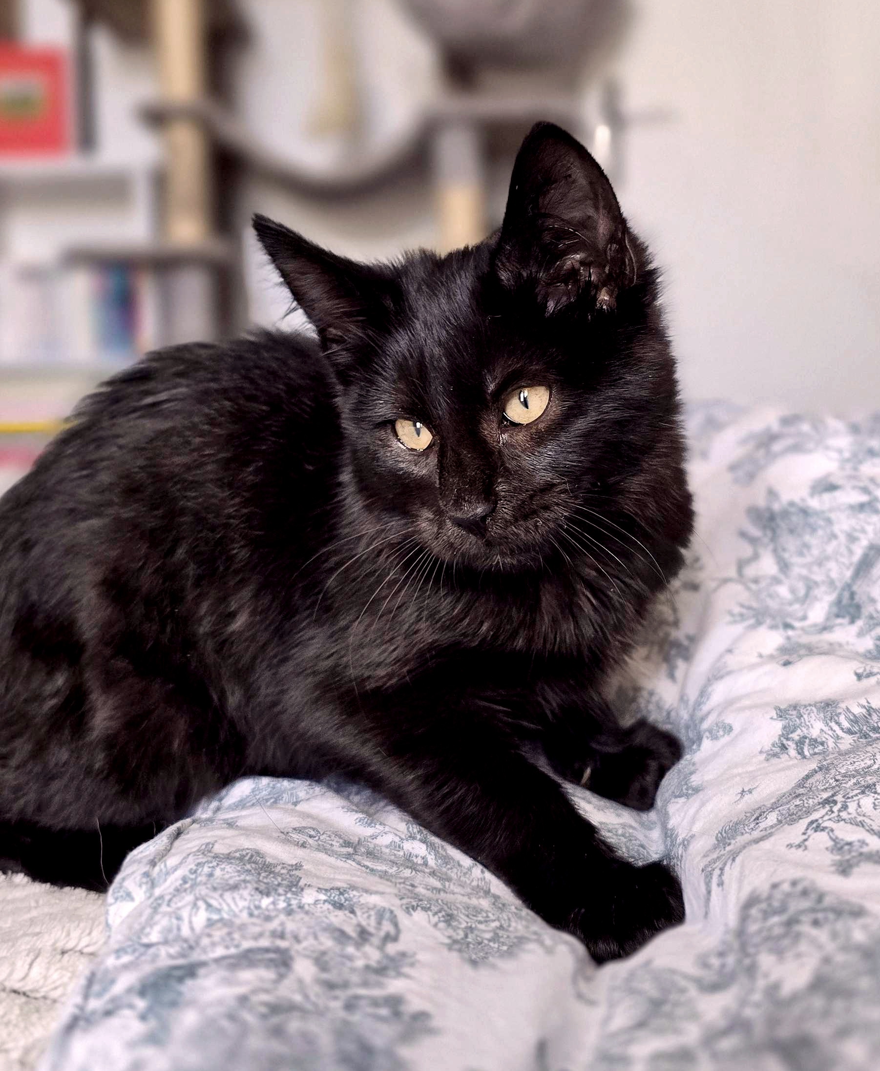 20251120_1134120_copieRTC