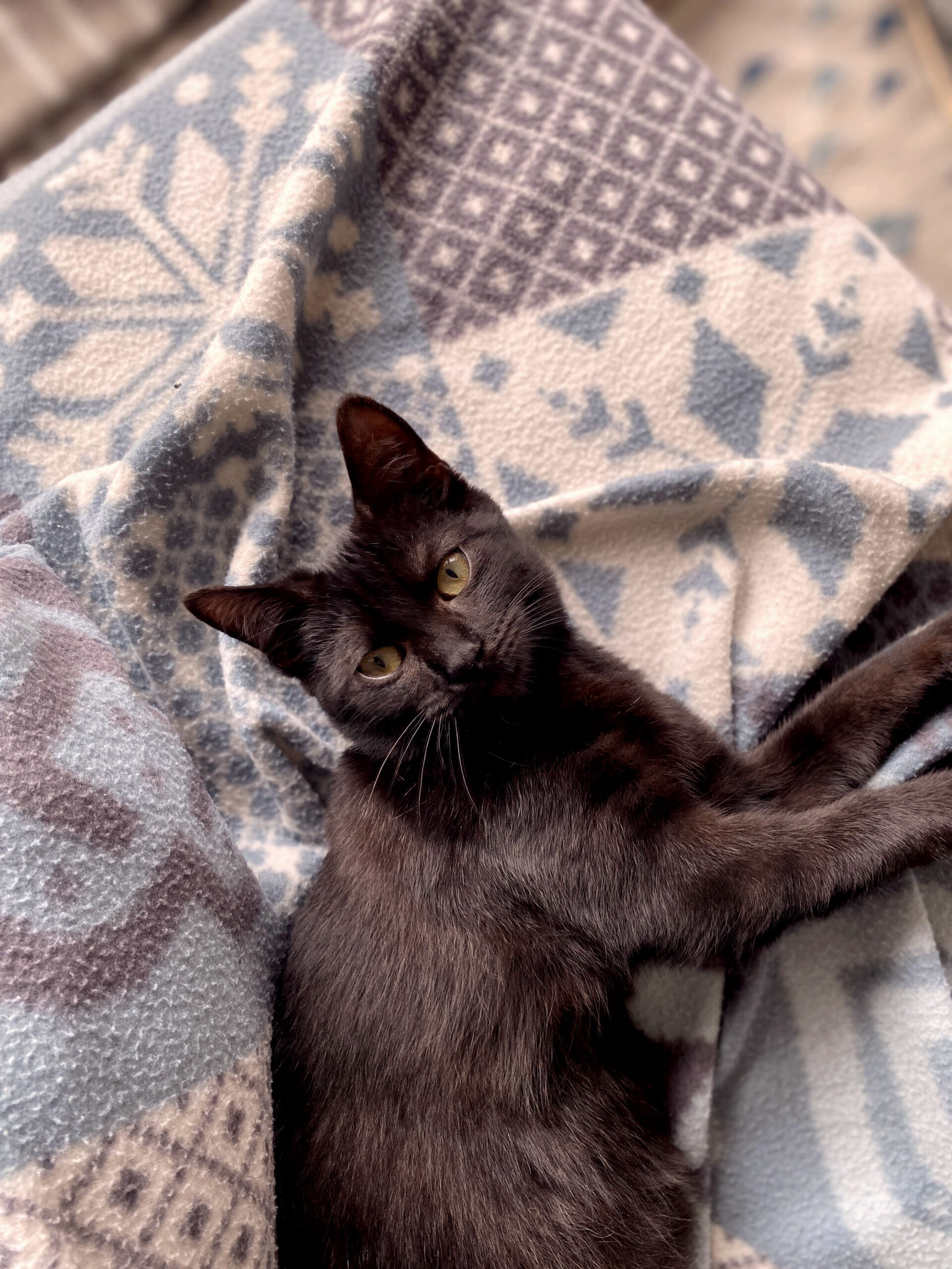 D55A9CFB-B80C-4055-A2C3-17CB1E0A2550_copieRTC