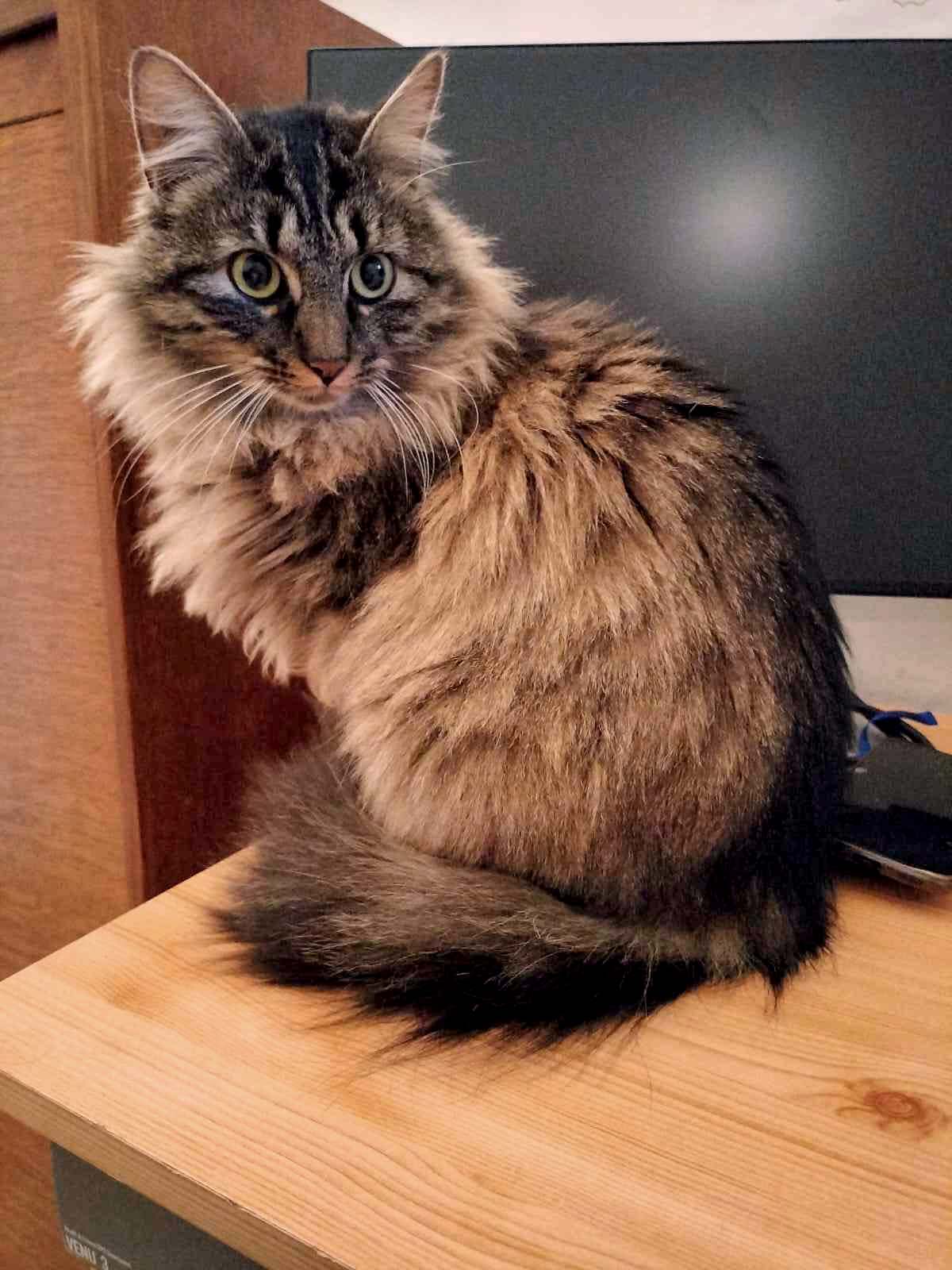 IMG-20251119-WA0012_copieRTC