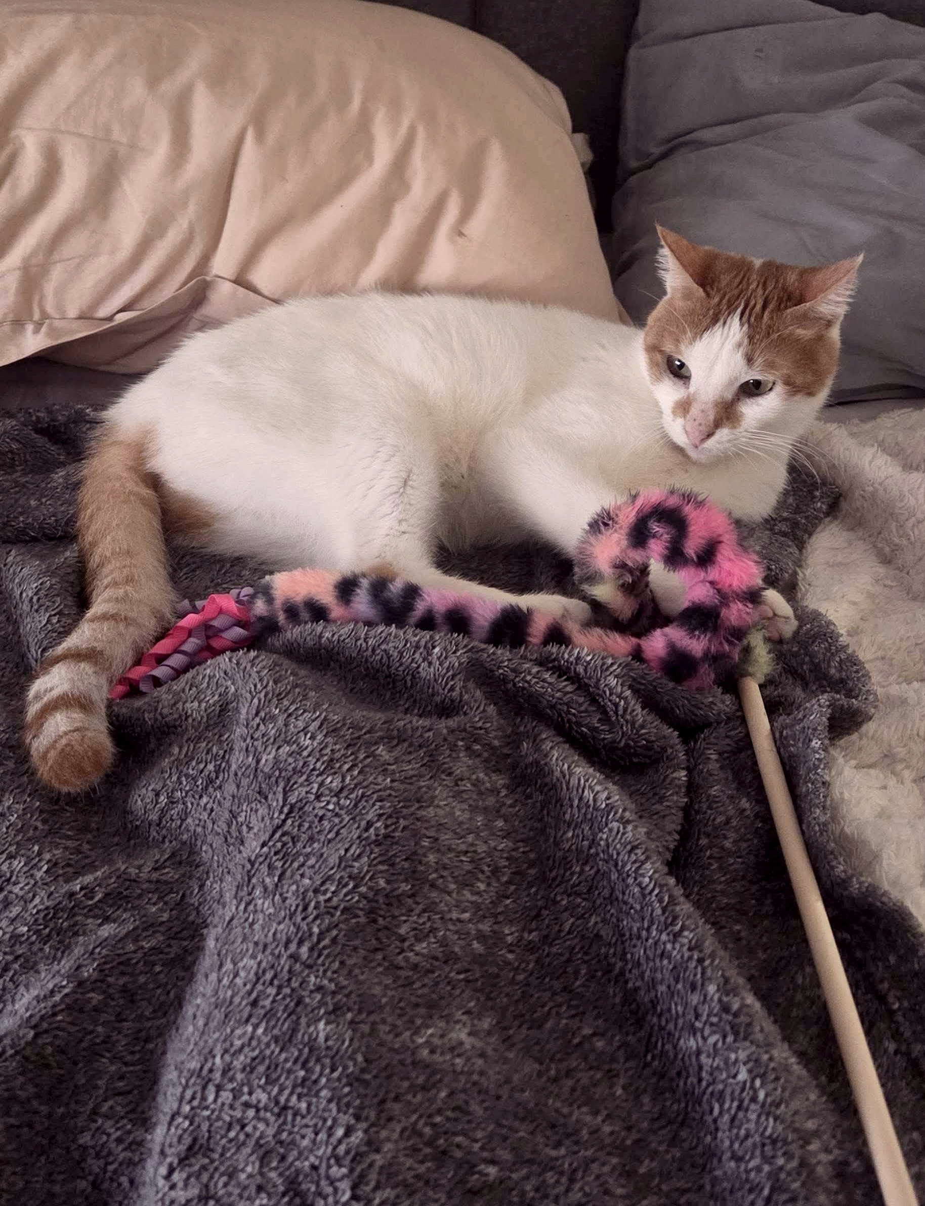 20260115_153415_copieRTC