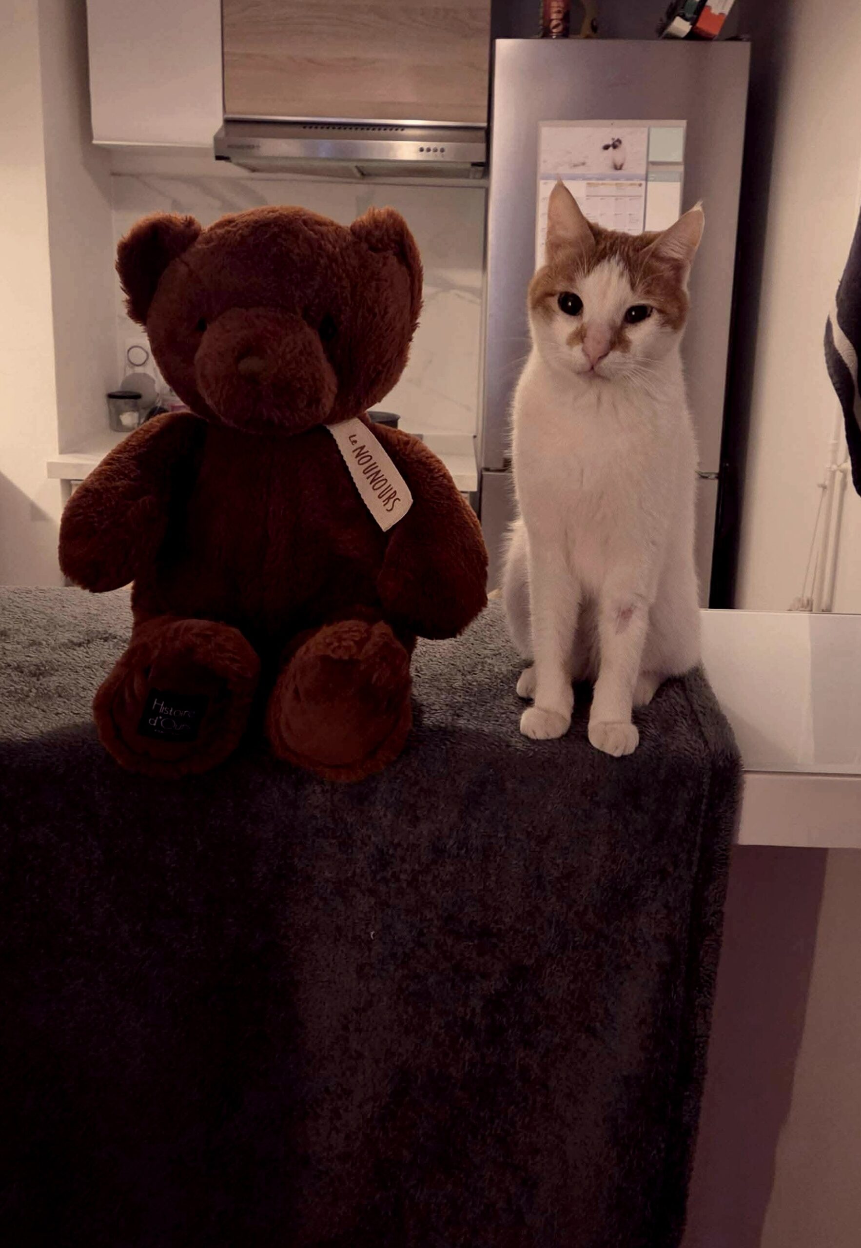 20260120_043022_copieRTC