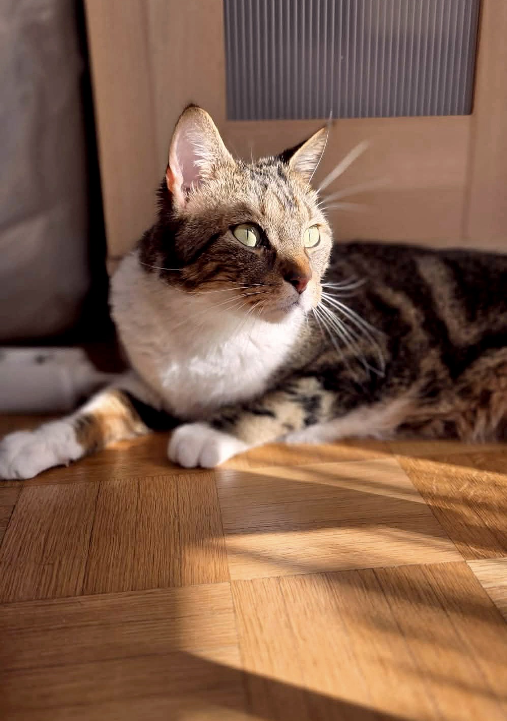 20260208_124918_copieRTC