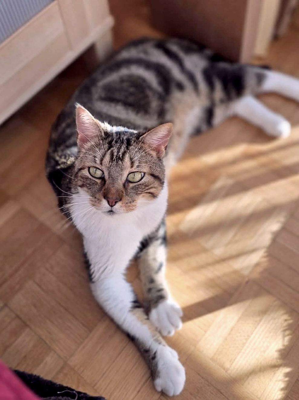 20260208_125148_copieRTC