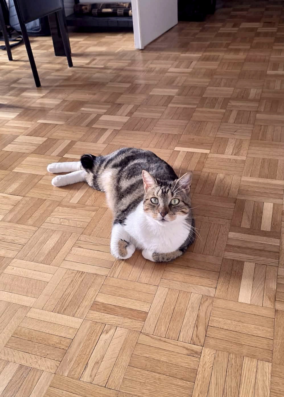 20260228_121138_copieRTC