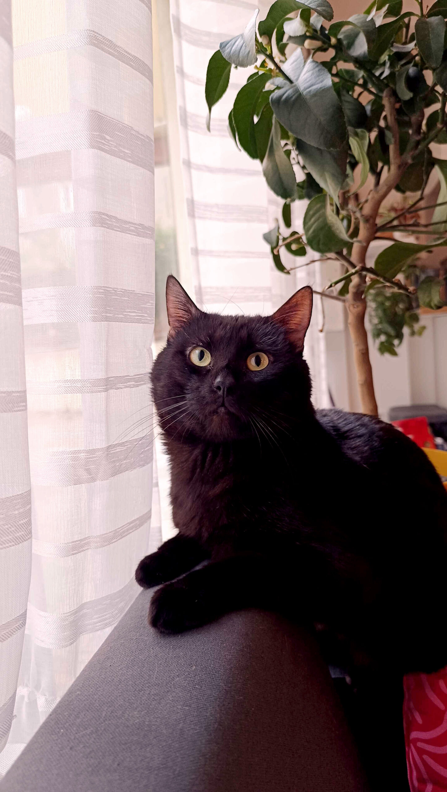 IMG_20251128_151856_copieRTC