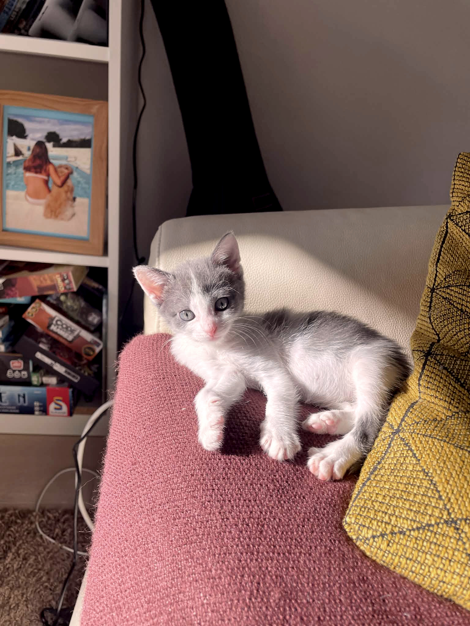 att.6zlB_BIVfyJ03IhDufDqCh6vN8A7wzM5l-SmzGfSXDg_copieRTC