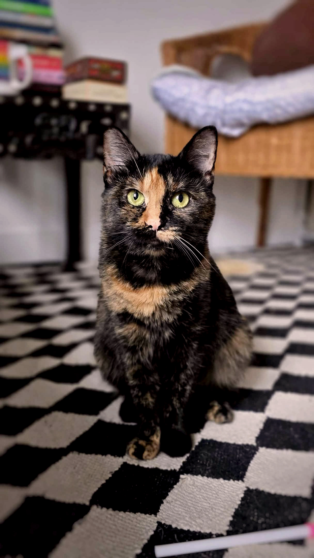 20241119_130745_copieRTC