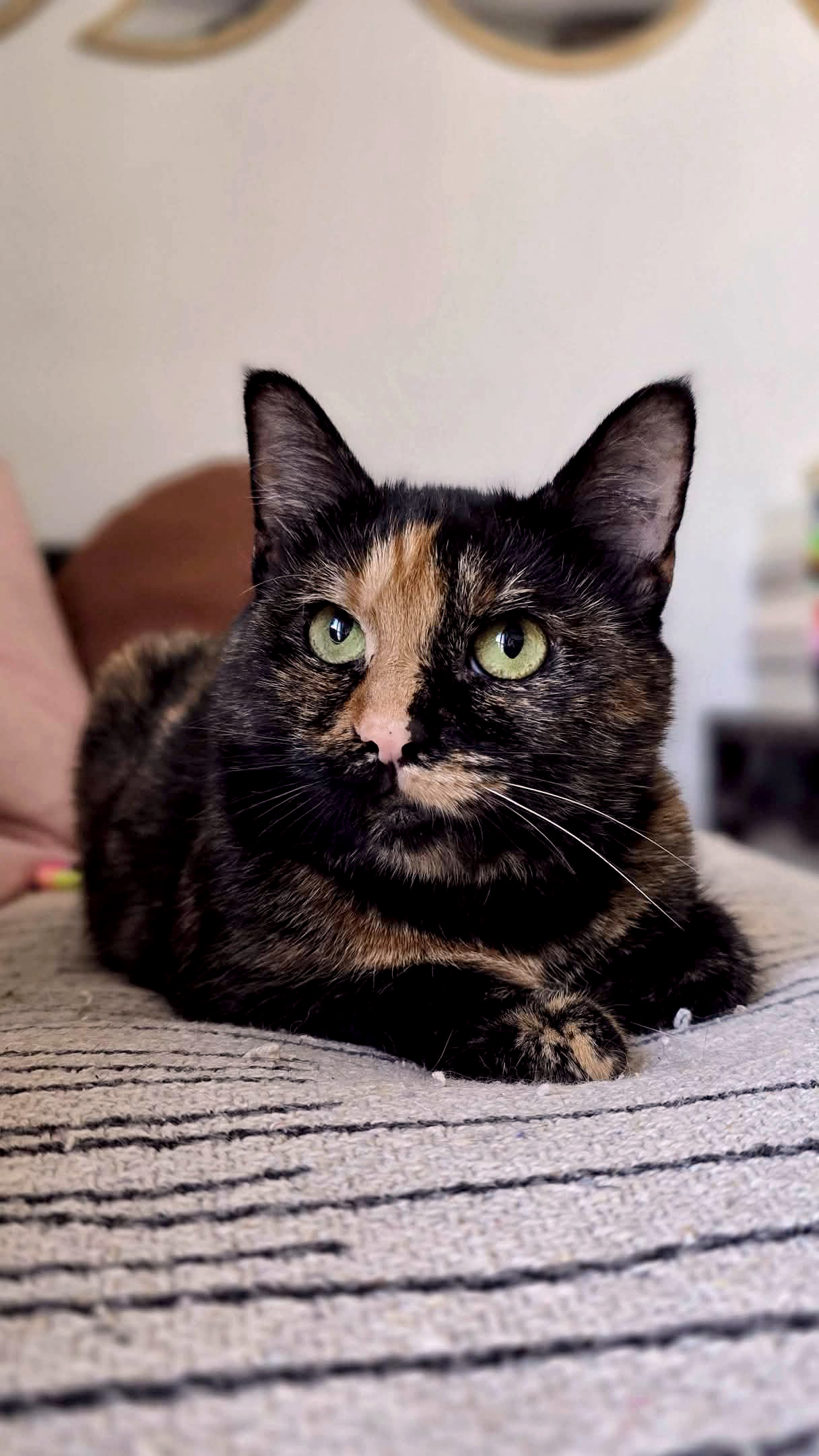 20241130_101531_copieRTC